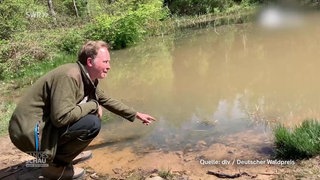 Förster des Jahres Achim Klausner