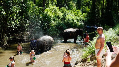 Tiere bei Hitze: Elefanten und Menschen im Wasser