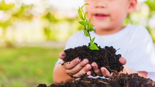 Kind hält Erde in der Hand, aus der eine Pflanze wächst: Aus Magma entstanden Steine, die verwitterten. Aus dem Material entstanden Sand, Schluff und Tonpartikel. Was unterscheidet diese Sedimente?