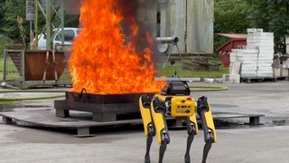 KI-Roboter «Byte«