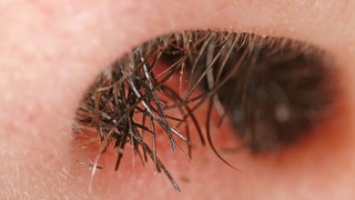 Nasenhaare in Großaufnahme