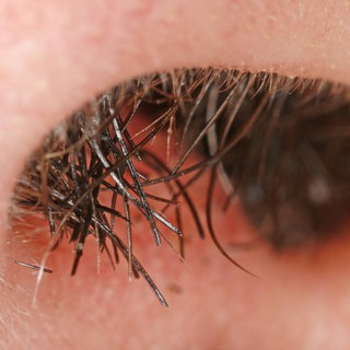 Nasenhaare in Großaufnahme