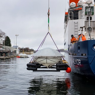 Geoengineering im Meer