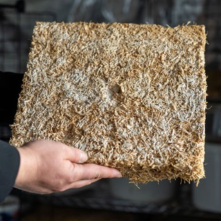 Beispiel für Fassadendämmung, Pilzgeflecht