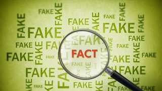 Lupe findet das Wort "Fact" in einer Anhäufung des Wortes "Fake": Desinformation begegnet uns fast täglich, oft steckt eine politische Agenda dahinter. Faktencheck-Redaktionen verbreiten Richtigstellungen und auch wir können Fake News entlarven. Wie?
