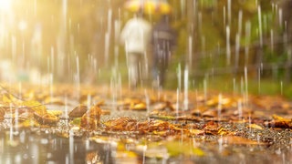 Zwei Sparziergänger bei starkem Regen: Wie schnell fallen die Tropfen?