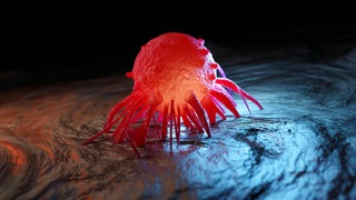 Dreidimensionale Darstellung von Krebszellen im menschlichen Körper: Warum heißt die Krankheit "Krebs"?