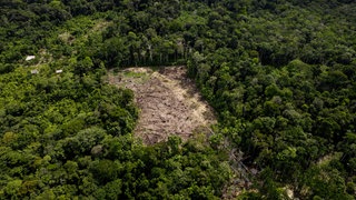 Aufnahme von oben: Abholzung im Amazonas