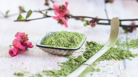Matcha-Pulver, rosa Blüten und ein Matcha-Löffel aus Bambus: Kurzfristig steigert grüner Tee die Konzentrationsfähigkeit, oft auch die Stimmung, das Koffein kann leicht euphorisierend wirken. Krankheiten beugt er allein nicht vor. 