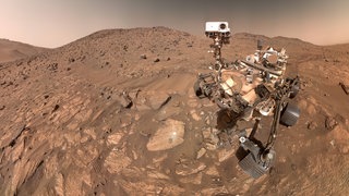 Cheyava Falls ist ein Fels, der 2024 vom NASA-Rover Perseverance bei der Erkundung des Mars entdeckt wurde. Kleine Flecken, die an ein Leopardenmuster erinnern, könnten auf Mineralien hinweisen, die von organischem und mikrobiellem Ursprung sein könnten.