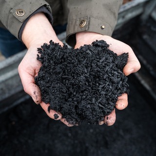 Ein Mann hält im Botanischen Garten Pflanzenkohle die mit einer Karbonisierungsanlage aus Pflanzenresten hergestellt wurde. Terra Preta.