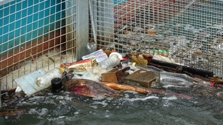 Die "RheinKrake" fischt Müll aus dem Rhein