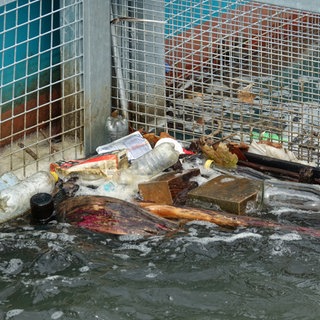 Die "RheinKrake" fischt Müll aus dem Rhein