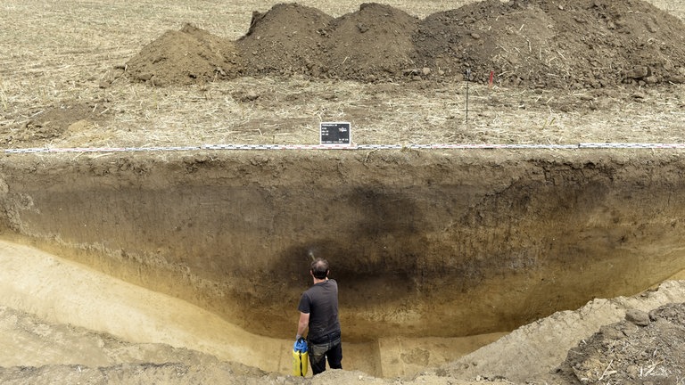 Das Volumen von Gräben dient Archäologen als Indikator für sozialen Zusammenhalt. Hunderte von Menschen schlossen sich in einer koordinierten Anstrengung zusammen, um zu planen und die Erde zu bewegen. (Podhajska, Südwest-Slowakei, 2023 ausgegraben)