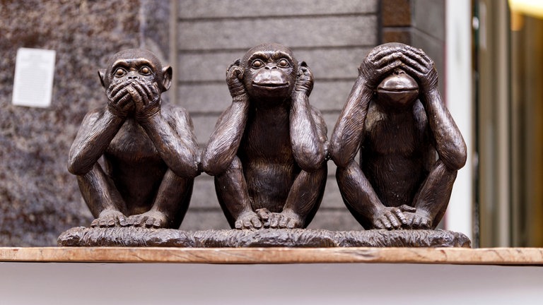 Wenn wir Informationen meiden, die uns sogar nützen könnten, sprechen Psychologen von bewusster Ignoranz. 