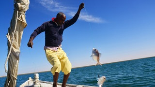 Fischer im Nationalpark Banc d’Arguin in Mauretanien holt zwei Fische ins Boot: In Mauretaniens Nationalpark Banc d’Arguin wachsen die meisten Fische auf, die in Westafrika gefangen werden. Sein Schutz wirkt der Migration entgegen.