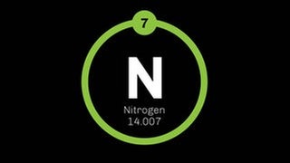 Stickstoff (Symbol N für Nitrogen) ist ein chemisches Element mit der Ordnungszahl 7 im Periodensystem und der Atommasse 14,0067. Atemluft besteht zu fast 80 Prozent aus Stickstoff. Ohne dieses Element gäbe es keine Proteine, keine DNA – kein Leben.