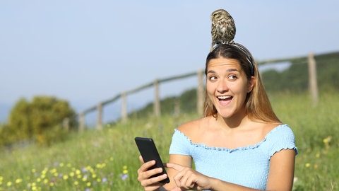 Eine erstaunte Frau, die gerade ihr Smartphone benutzt mit einem Eulenküken, das sich auf ihrem Kopf niedergelassen hat.