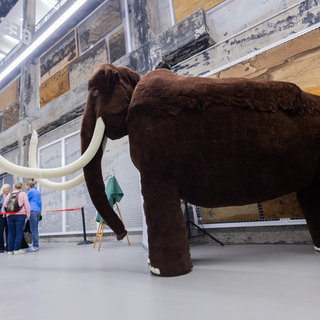 Ein gehäkeltes Mammut wird im Schaudepot Ruhr Museum präsentiert. 