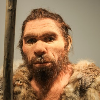 Symbolbild: Eine Nachbildung eines Neandertalers