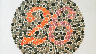 Ishihara-Farbtafel zeigt die Zahl 26: Nehmen Menschen Farben gleich wahr?