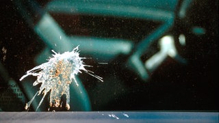 Vogelkot an einem Autofenster: Warum ist der Kot der Tiere weiß?