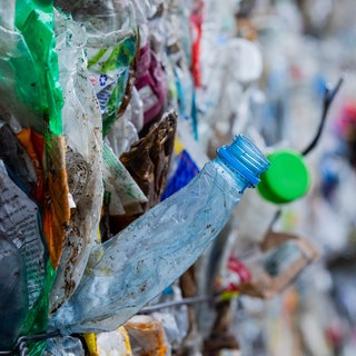 Gepresste und sortierte Verpackungsabfälle, eine Plastikflache ragt heraus: Die Erfindung von Plastik hat der Menschheit viele neue Möglichkeiten gegeben – doch heute bereitet es Probleme
