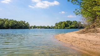 Kollerinsel mit Blick Richtung Otterstadt