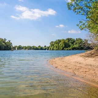 Kollerinsel mit Blick Richtung Otterstadt