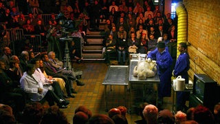 Der deutsche Anatomie-Professor Gunther von Hagens (2.v.r.) seziert am 20.11.2002 in einer Londoner Kunstgalerie den Leichnam eines 72 Jahre alten deutschen Mannes – die erste öffentliche Sektion in Großbritannien seit 170 Jahren. Britische Reporter nannten den Heidelberger Arzt einen "verrückten Dokto" und "Frankenstein-Künstler". Im Publikum saßen mehrere Polizisten und Mediziner. Sie sollen im Auftrag von Scotland Yard beurteilen, ob sich der Deutsche einer Straftat schuldig gemacht hat.