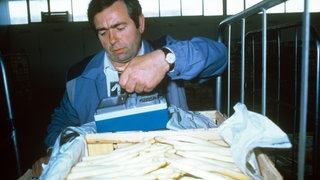 Am 11.5.1986 wird in der Großmarkthalle in Bruchsal Spargel auf Belastung mit Radioaktivität überprüft. Nach dem Reaktorunfall in Tschernobyl waren viele Gemüsesorten radioaktiv belastet.