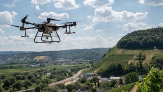 Drohne über Weinbergen