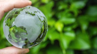 Globus aus Glas vor grünem Hintergrund