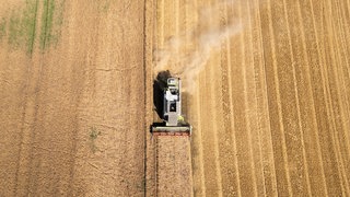 Traktor auf Feld - von oben