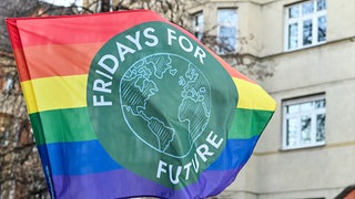Flagge Fridays for Future