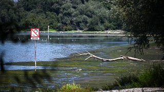 Bodensee, Niedrigwasser