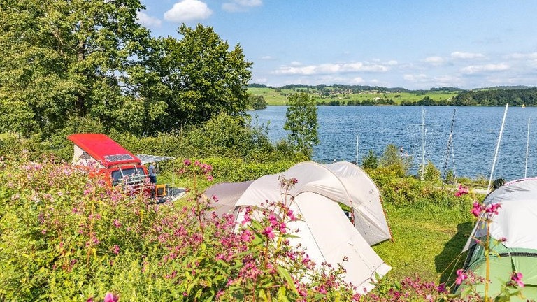 Elektrocamper auf der CMT