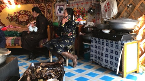 Blick in eine mongolische Jurte