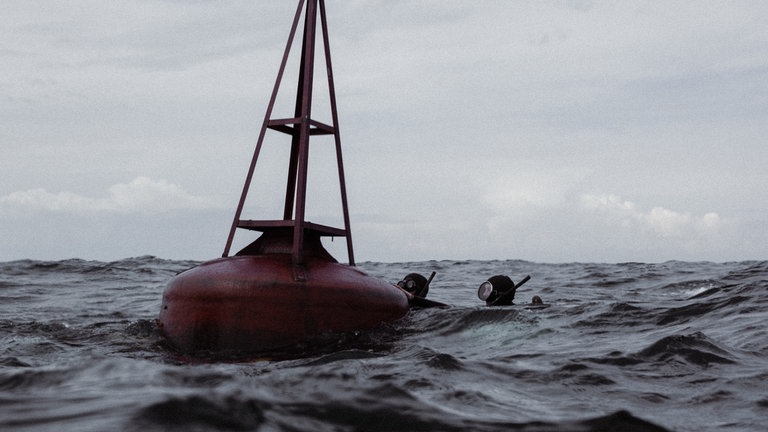 Debüt im Dritten: Jenseits der blauen Grenze