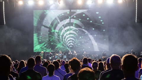 Fury in the Slaughterhouse