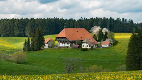 Der Fallerhof. © SWRStephanie Schweigert