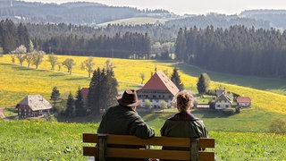 Hermann (Wolfgang Hepp) und Johanna (Ursula Cantieni) blicken auf ihren Fallerhof. © SWRJohannes Krieg