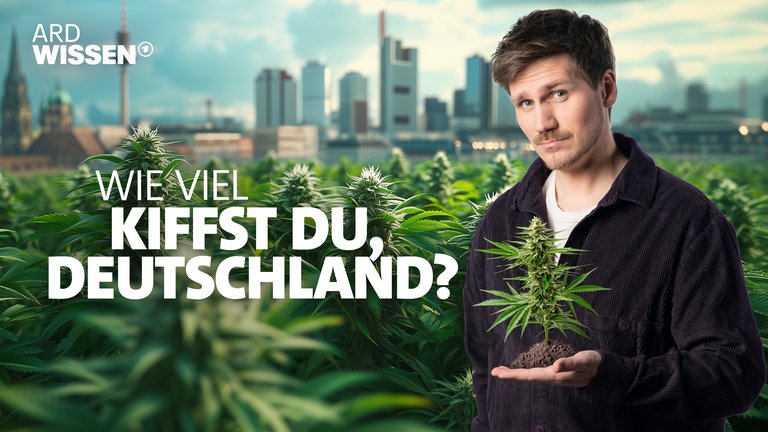 ARD Wissen-Host Frank Seibert Bilanz