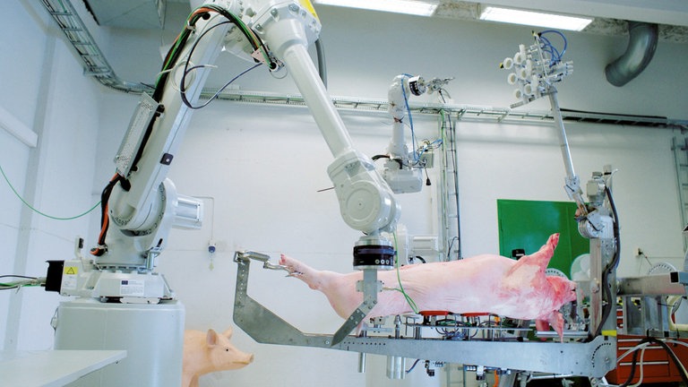 RoBUTCHER Projekt  Universität für Umwelt- und Biowissenschaften in Ås, Norwegen