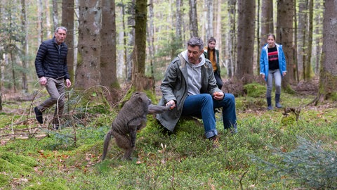 Wildtierexperte Kajo Winter (Jochen Schropp) kennt sich mit Pavianen gut aus. Leo (Phillis Lara Lau), Lucy (Paulina Schnurrer, re.) und Philipp (Heikko Deutschmann) staunen.