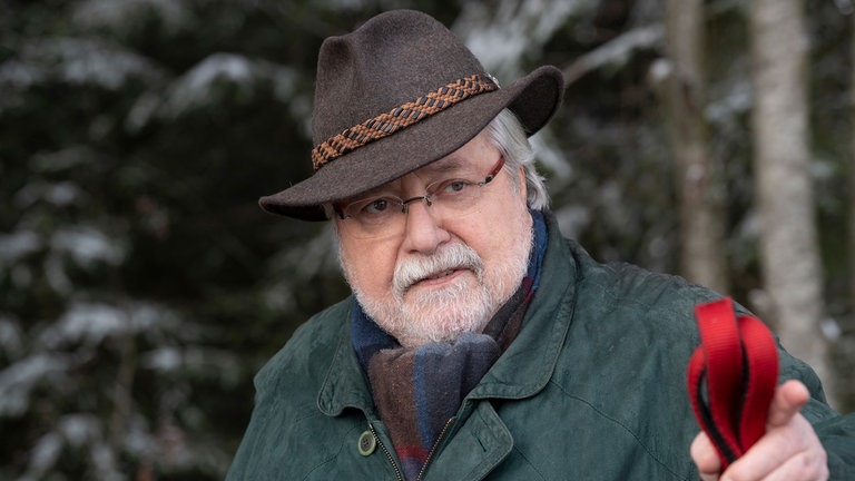 Hermann Faller (Wolfgang Hepp)