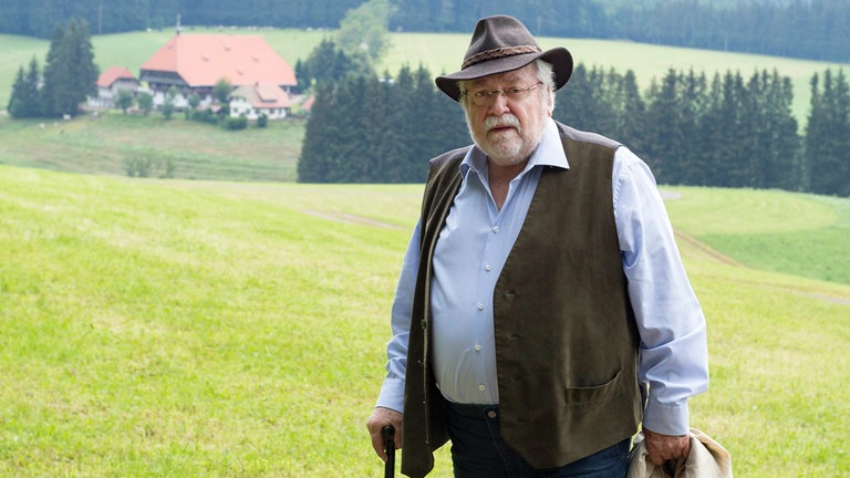 Hermann Faller (Wolfgang Hepp)