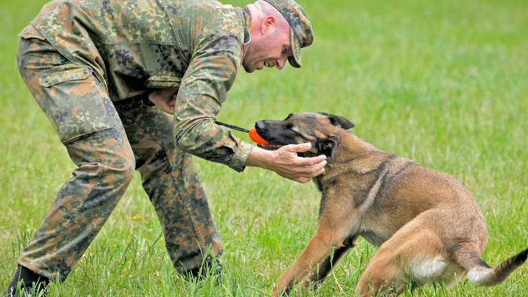 „Hundesoldaten“: Bundeswehr-Soldat Zienow mit Diensthund beim Training. 