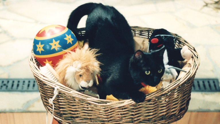 Das ARD-Buffet startet