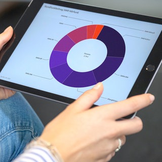 Das Bild zeigt eine Grafik mit Kennzahlen